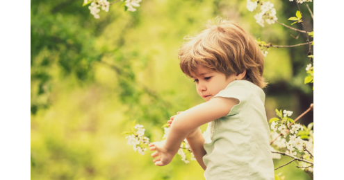 Utilizzo dei repellenti zanzare nei bambini Utilizzo dei repellenti zanzare nei bambini