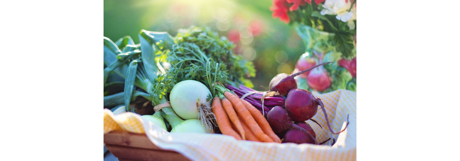 Terapia immunostimolante per prepararsi all’inverno