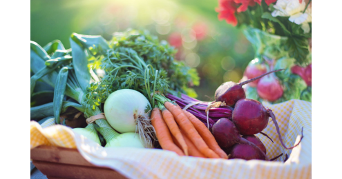 Terapia immunostimolante per prepararsi all’inverno