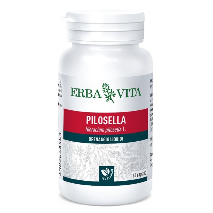 PILOSELLA 60CPS 400MG