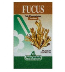 FITOSOL FUCUS 150 TAV