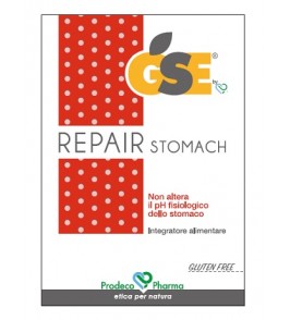 GSE REPAIR INTEGRAT 45CPR