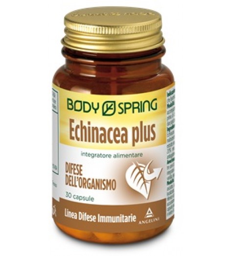 BODY SPRING ECHINACEA P 30CPS