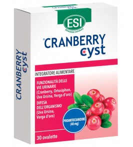 CRANBERRY CYST 30 OVALETTE