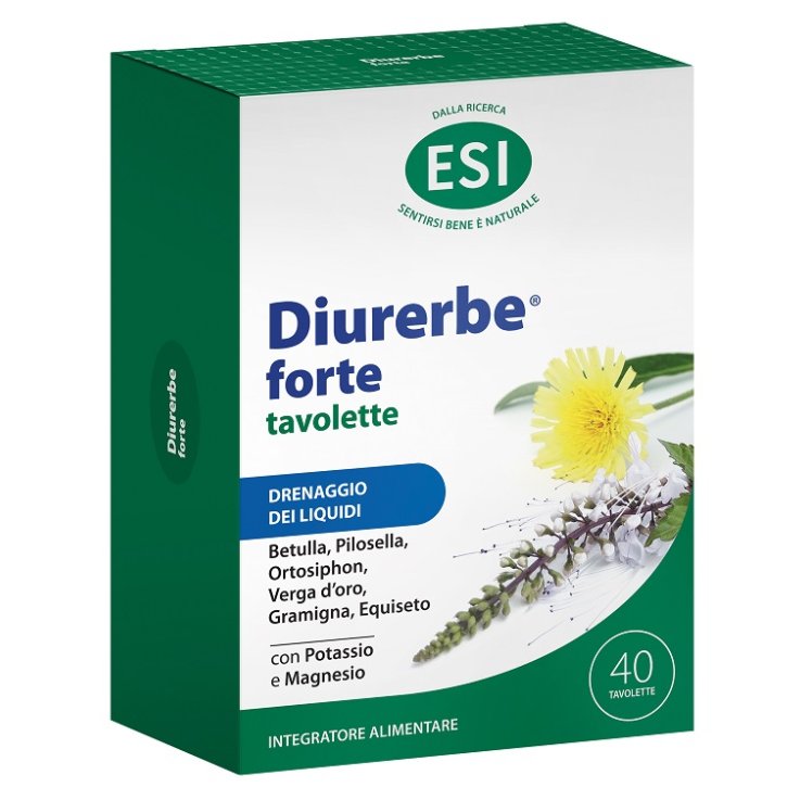 DIURERBE FORTE 40TAV 1200MG ES