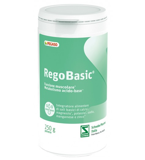 REGOBASIC POLVERE 250G