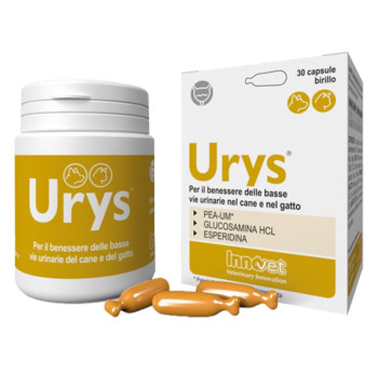 URYS 30 CAPSULE BIRILLO