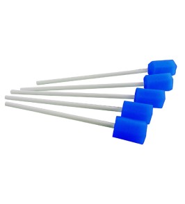 BASTONCINO PULIZ CAVO OR 5PZ