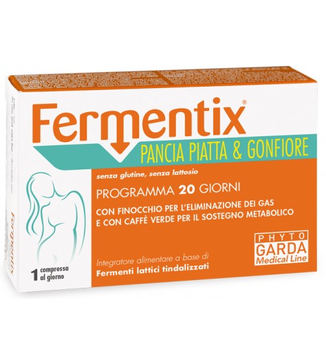 FERMENTIX PANCIA PIA/GONF20CPR