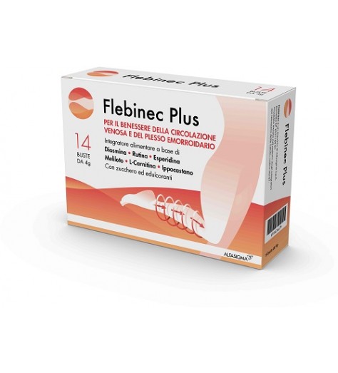 FLEBINEC PLUS 14 BUSTINE 4 G