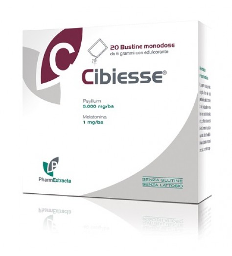 CIBIESSE 20BUST