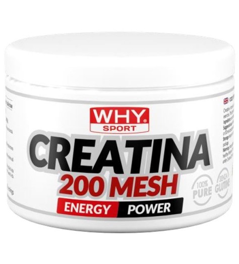 WHYSPORT CREATINA 200 MESH200G