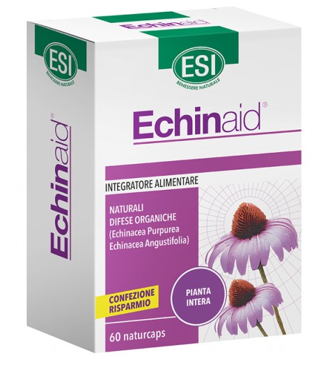 ECHINAID ALTA POTENZA 60CPS ES