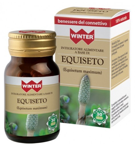 WINTER EQUISETO 30CPS VEG