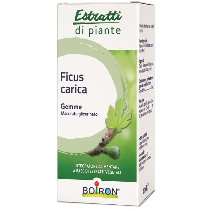 FICUS CARICA MACERATO GLICERICO 60 ML INT