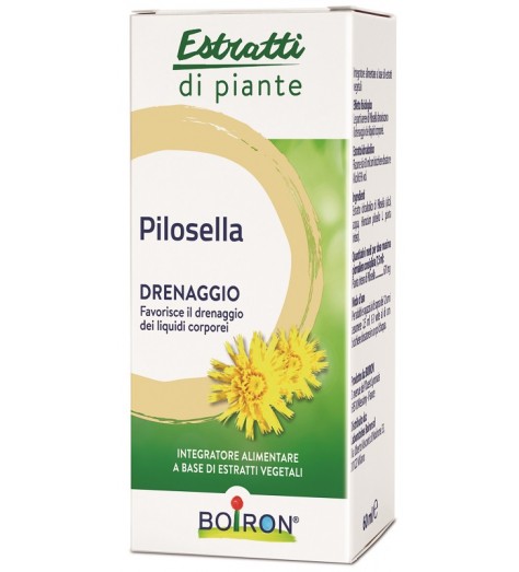 PILOSELLA ESTRATTO IDROALCOLICO 60 ML