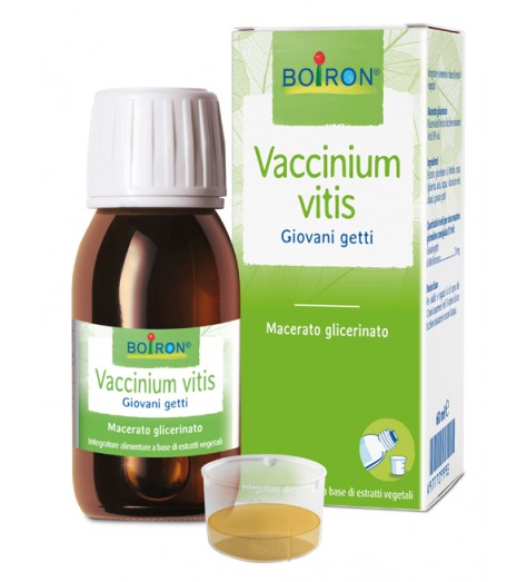 BO.VACCINIUM VITIS MG 60ML INT