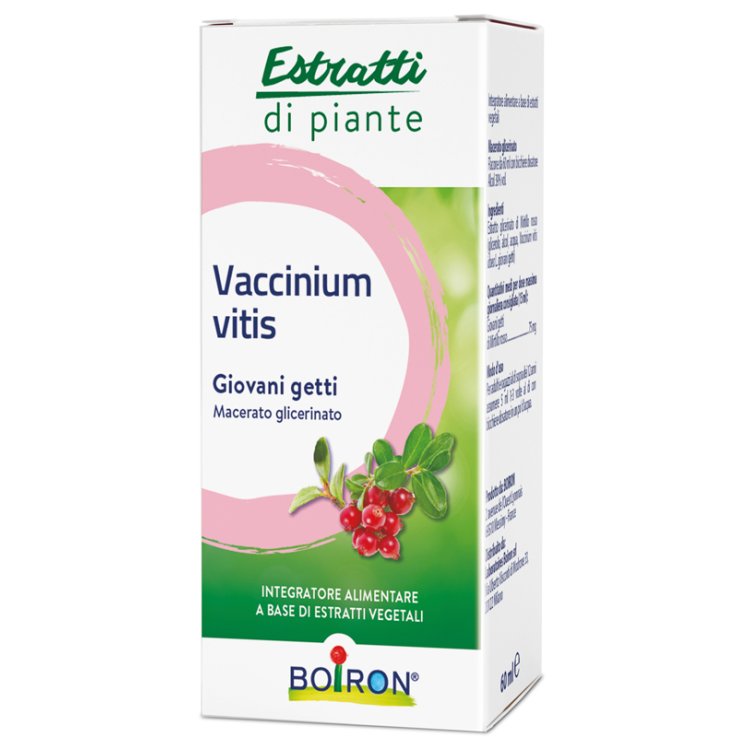 BO.VACCINIUM VITIS MG 60ML INT