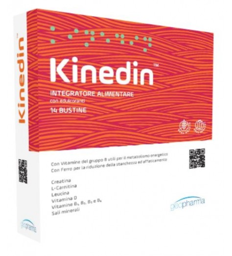 KINEDIN 14BUST