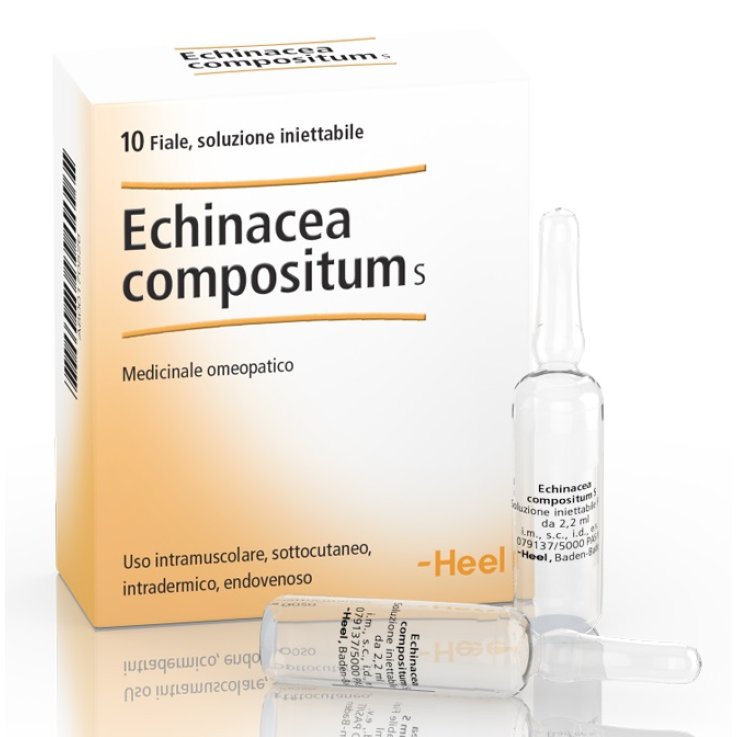 HE.ECHINACEA COMP 10 FL
