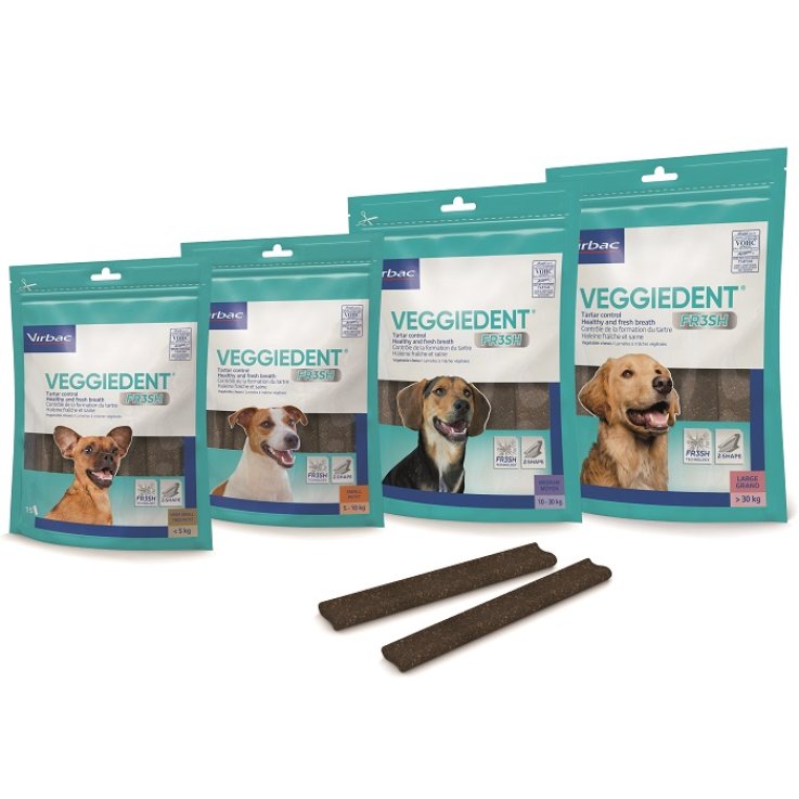 VEGGIEDENT FR3SH S 15STICK