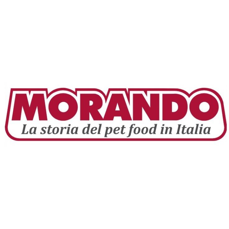 MIOGATTO AGNELLO