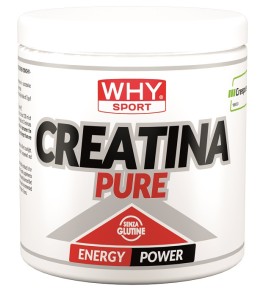 WHYSPORT CREATINA PURE 300G