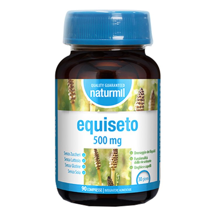 EQUISETO NATURMIL 500MG 90CPR