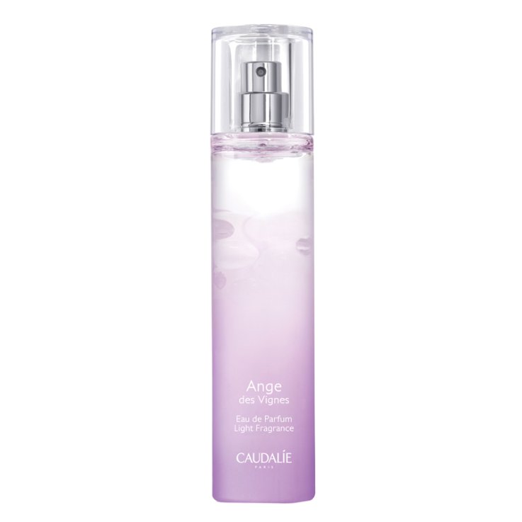 EAU DE PARFUM ANGE DES VIGNES 2023 50 ML