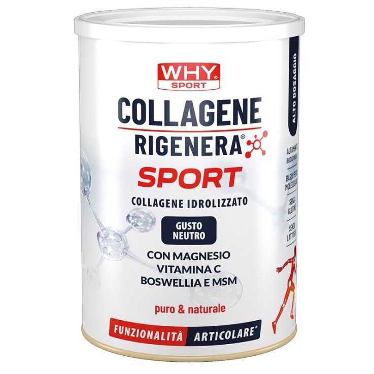 WHYSPORT COLLAG RIGEN SPORT 336G