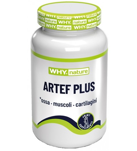 WHYNATURE ARTEF PLUS 60CPR