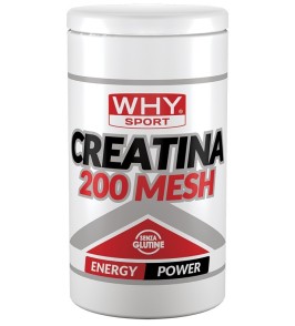 WHYSPORT CREATINA 200 MESH500G