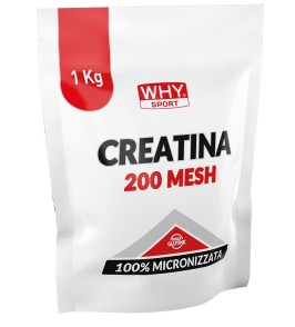 WHYSPORT CREATINA 200 MESH 1KG