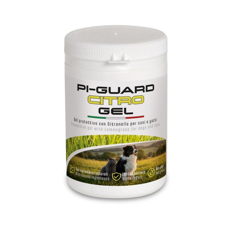 PI GUARD CITRO GEL 250ML